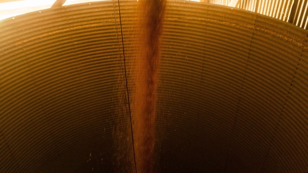 Wheat grain. Photographer: Nathan Laine/Bloomberg