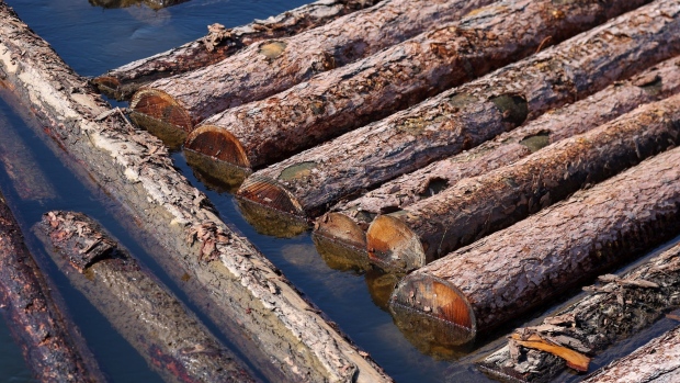 ​West Fraser Timber slashes lumber production, 147 jobs cut