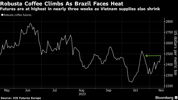 Robusta prices increase in Brazil due to dollar rise, weather in
