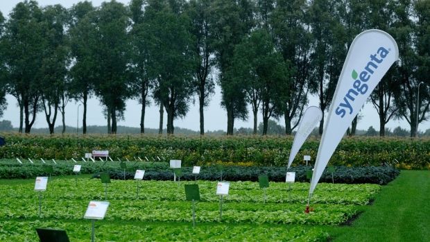 <p>Growing beds for seed development at the Fields of Innovation crop site, operated by Syngenta AG, in Grootebroek, Netherlands.</p>