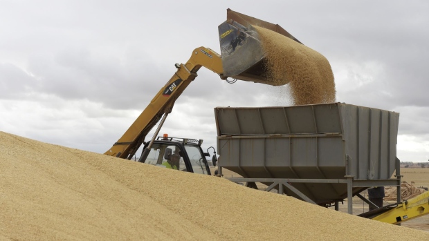 A front end loader tips barley into a grain feeder at a Riordan Group Pty grain depot near Lara, Victoria, Australia, on Tuesday, Feb. 14, 2017. Last year's commodities rebound -- amid output cuts, China's stabilizing economy and outlook for more U.S. infrastructure spending -- is being reversed on concern demand won't soak up supply. Photographer: Carla Gottgens/Bloomberg