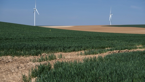 Wheat grows in a crop field near wind turbines during drought conditions on an arable farm in Aisne, France, on Monday, April 27, 2020. Wheat in France is suffering from drought after entering spring time with very low levels of biomass, and satellite analysis shows plant health is reduced compared to last year, according to crop-weather analyst Visio-Crop.