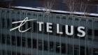 The Telus Corporation logo