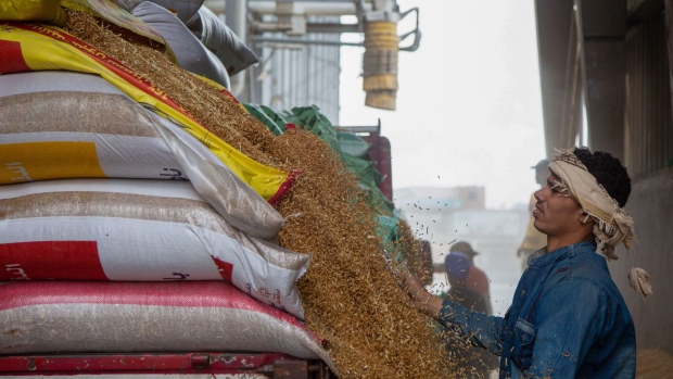 A worker unloads sacks of harvested wheat grain from a truck at a government-operated mill in Abu Hammad, Egypt, on Friday, April 28, 2023. Egypt was hard hit by a surge in wheat prices in the immediate wake of Russia’s invasion of Ukraine, sparking a push to pursue new origins.