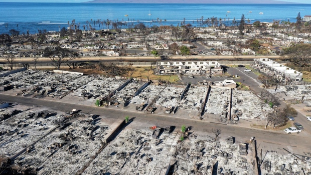 Burned cars and structures in a Maui neighborhood that was destroyed by wildfire.