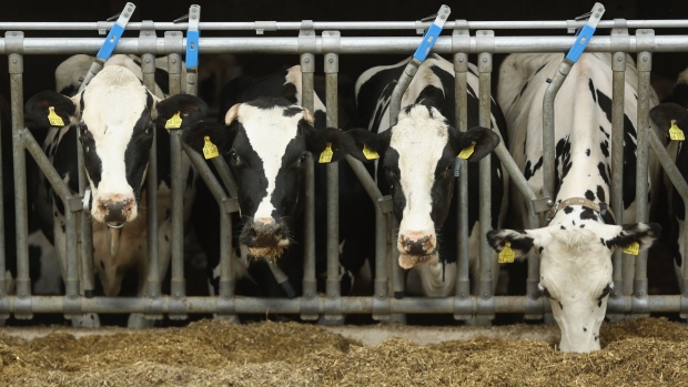 Infections have been reported in 51 herds of cows from nine states.
