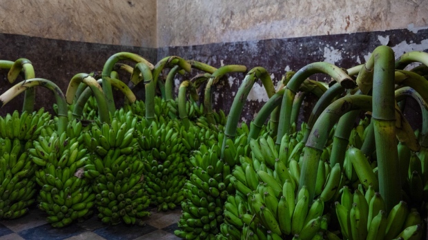 Banana storage at a vendor's facility at a market in Vizianagaram, on May 10.  Photographer: Anindito Mukherjee/Bloomberg