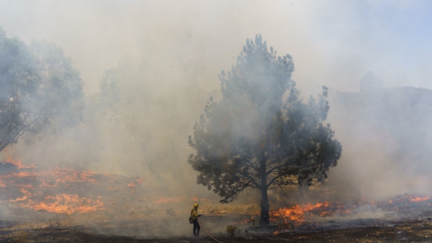 A CalFire firefighter uses a hose during a prescribed burn in Groveland, California, US, on Thursday, July 6, 2023. The burn operation aims to reduce understory vegetation, grasses, and noxious weeds while creating an additional fuel break to enhance fire protection in Groveland. Photographer: Michaela Vatcheva/Bloomberg
