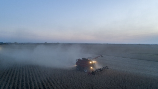 Soybeans are harvested in Wyanet, Illinois.